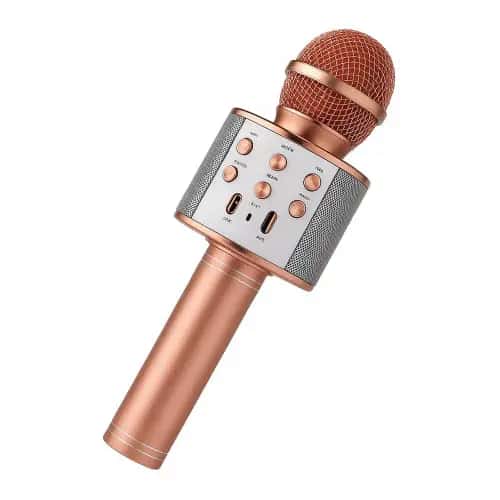 Micrófono karaoke WS-858